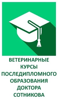 Школа Сотникова