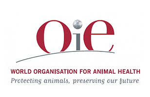 МЭБ представила данные по эпизоотической ситуации по особо опасным болезням животных