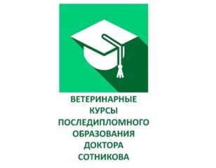 Школа Сотникова проводит курс по эхокардиографии