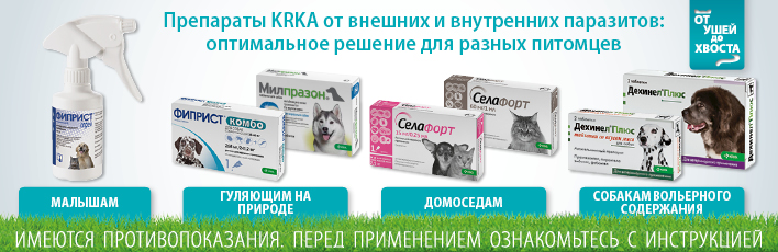 Препараты KRKA от паразитов животных
