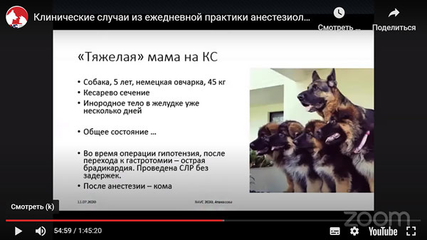 Российско-Американская ветеринарная конференция