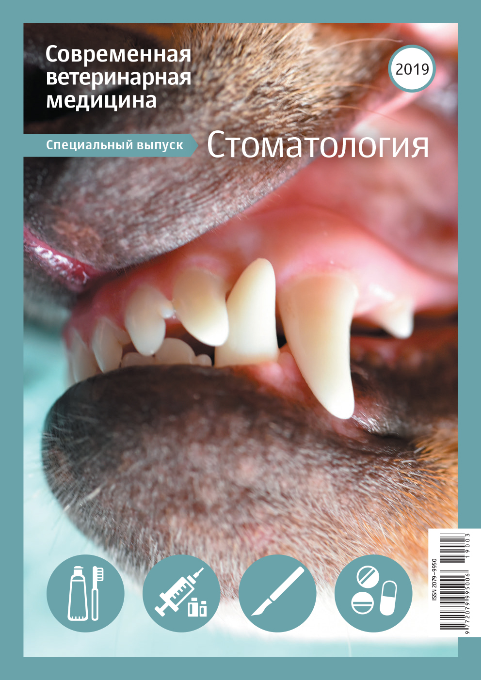 "Современная ветеринарная медицина" - стоматология