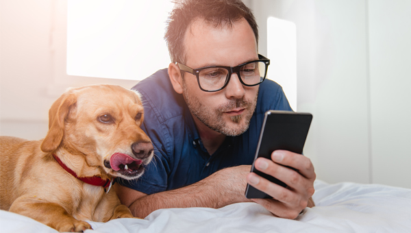 В США растёт популярность ветеринарной помощи онлайн