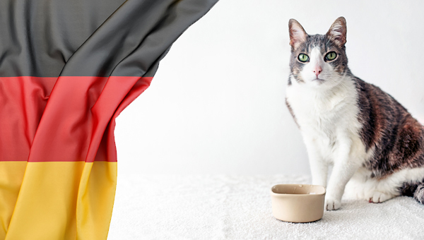 Рооссельхознадзор запретил ввоз кормов для собак и кошек из Германии