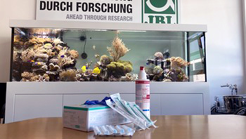 Сотрудники немецкой аквариумной компании JBL получили прививку от коронавируса