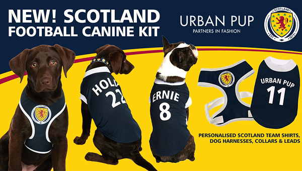 Собаки шотландских футбольных фанатов оденуться в командном стиле
