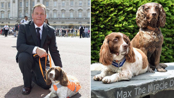 Спаниель Макс, британская собака-терапевт, увековечен в бронзе