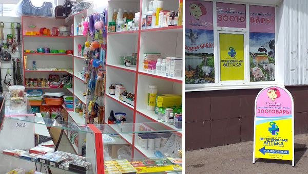 В Курской области открылся новый зоомагазин «Мини-Пиги»