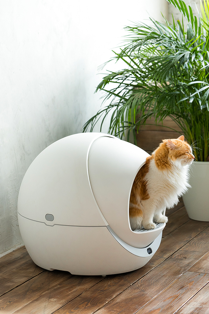 Туалет для кошек и питьевой фонтан от компании Petree