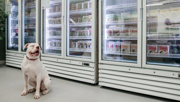 В Шотландии открылся супермаркет кормов для собак при ветклинике