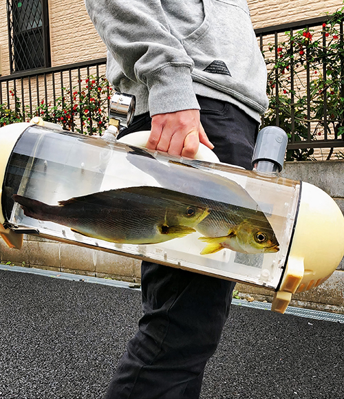 В Японии разработали переноску для живой рыбы Katsugyo