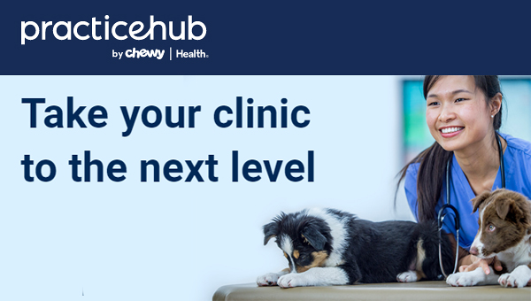 Chewy представил ветеринарный маркетплейс Practice Hub