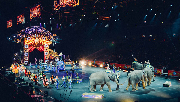 МСХ предлагает упростить получение лицензии для гастролирующих цирков