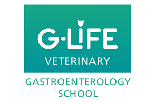 Школа ветеринарной гастроэнтерологии переносит курс с сентября на ноябрь