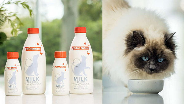В США появилось новое лакомство для собак и кошек в виде молока