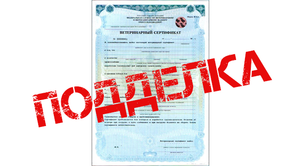 В Барабинске бизнесмена и ветврача арестовали за использование фальшивых ветсертификатов