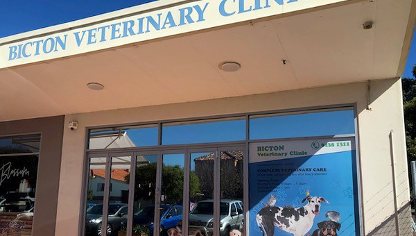 Клиника для животных подала в суд на активистку-вегана