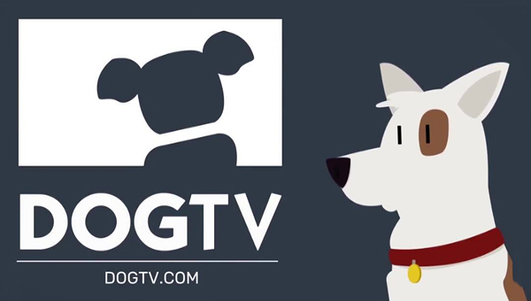Телеканал для собак DogTV запустят в Великобритании
