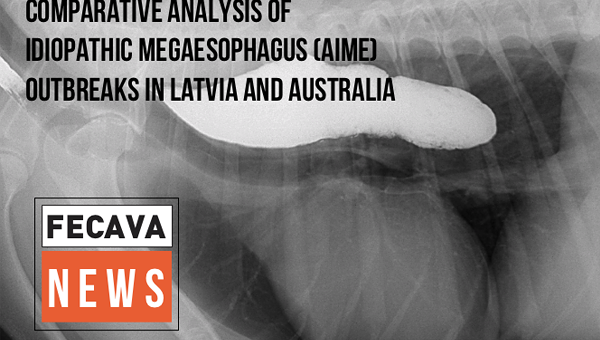 Учёные продолжают изучать мегаэзофагус, поразивший собак в Латвии и Австралии