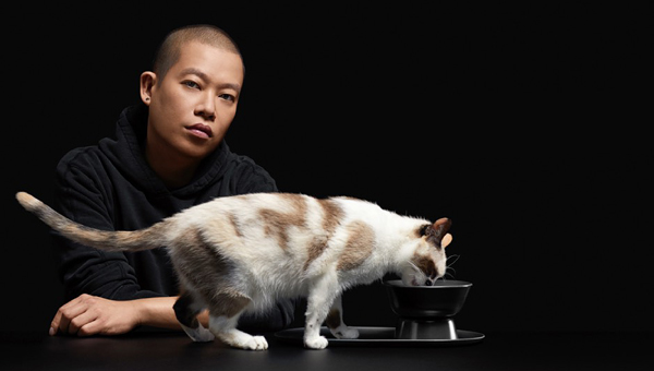 Товары для кошек появились в модной коллекции от Джейсона Ву
