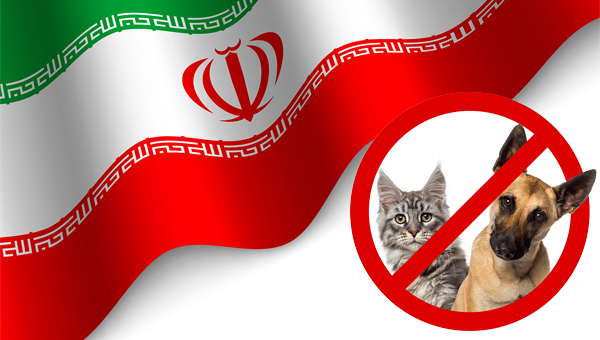 Содержание домашних животных могут запретить в Иране
