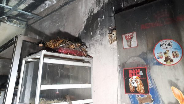В пожаре в магазине зоотоваров погибли животные