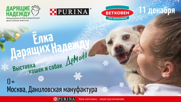 11 декабря состоится выставка-пристройство фонда «Дарящие надежду» и Purina. На мероприятии будет 120 собак и кошек, которые надеются стать домашними