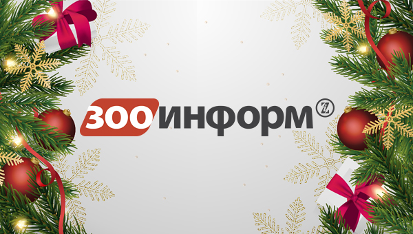 Ввоз кормов в Россию – тема года на сайте «Зооинформ»