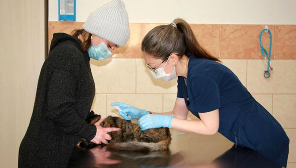 Ветеринарный кабинет открылся в Томской области
