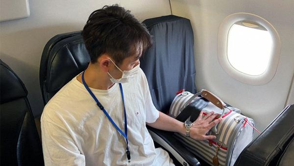 Перевозка животных в салоне самолёта в Японии