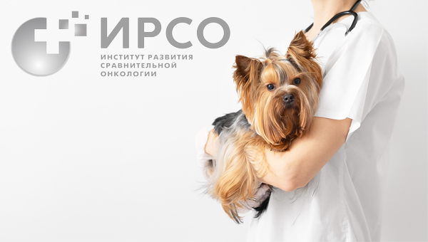 В Москве пройдёт XVII Всероссийская конференция по онкологии мелких домашних животных