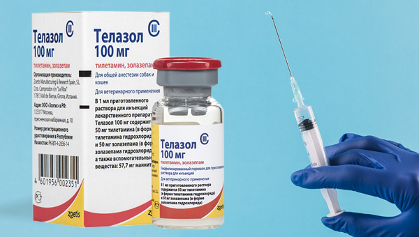 «Телазол 100 мг» разрешён к ввозу в РФ