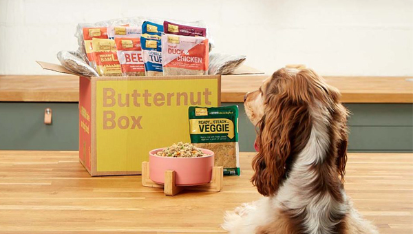 Butternut Box выпустил веганский корм для собак