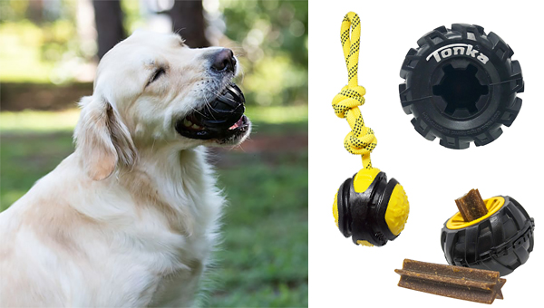 «СИМБИО» представляет американский бренд игрушек для собак