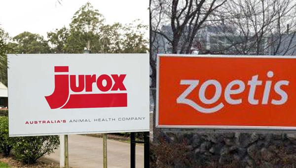 Zoetis приобретает австралийскую компанию Jurox: ACCC против