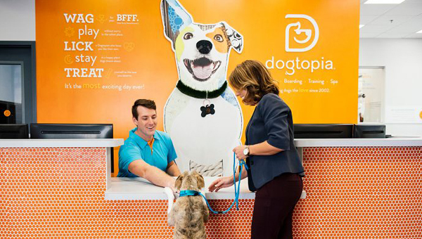 Американская фирма Dogtopia подписала крупнейшее соглашение о франшизе