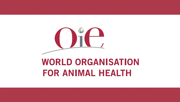 МЭБ представила данные об особо опасных болезнях животных за февраль 2022 года