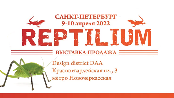 Выставка «Рептилиум» пройдёт в Петербурге