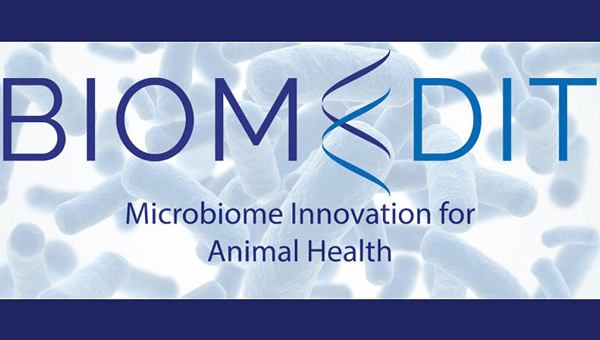 Elanсo и Ginkgo Bioworks запустили компанию BiomEdit