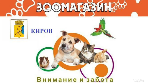В Кирове продаётся онлайн-зоомагазин