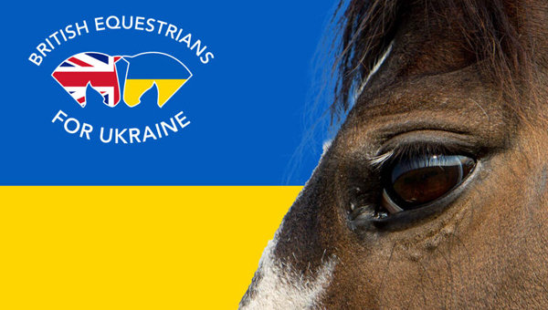 Спасение лошадей на Украине: президент BEVA осветил детали