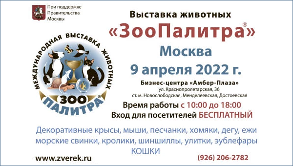 Выставка животных состоится 9 апреля в Москве в «Амбер Плаза»