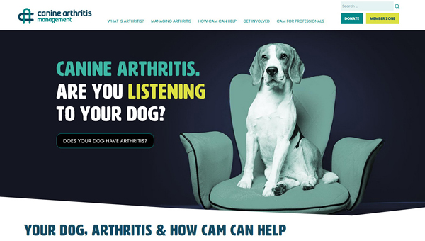 Компания по лечению артрита собак