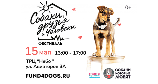 Dog-friendly фестиваль «Собаки, друзья и человеки» пройдёт в Солнцево
