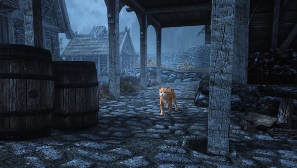 Виртуальные питомцы: коты появились в известной игре Skyrim