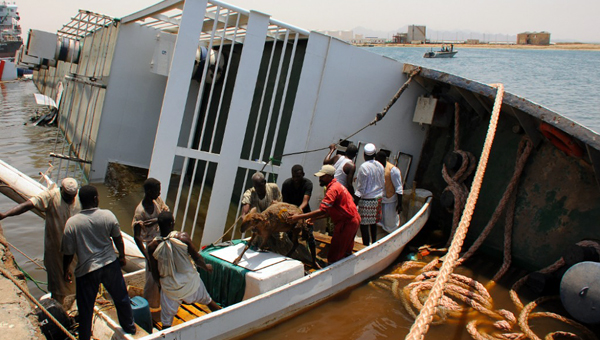 Более 15 тысяч овец погибли при крушении корабля в Судане