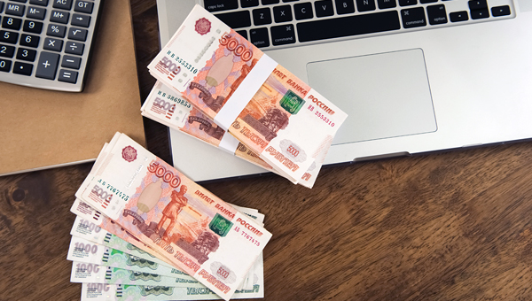 Ветклинику обманули: мошенники забрали 100 тысяч рублей