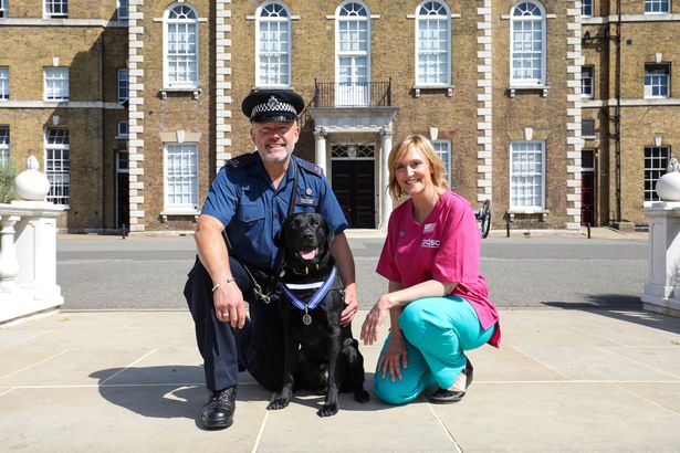 В Великобритании пять собак-помощников были награждены Орденом за заслуги PDSA
