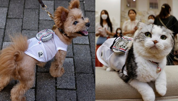 Носимый вентилятор для животных разработали японские специалисты