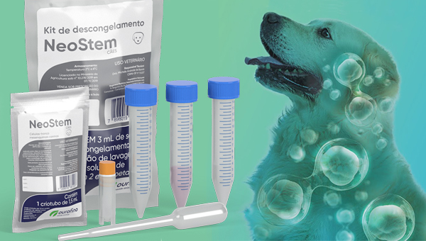 Запущено лечение стволовыми клетками для собак